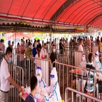 深夜悄悄綠了的健康碼 | 高效核酸報告背后的數(shù)字化技術(shù)